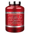 100% Whey Protein Professional