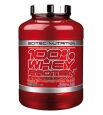 100% Whey Protein Professional