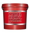 100% Whey Protein Professional