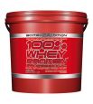 100% Whey Protein Professional