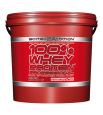 100% Whey Protein Professional