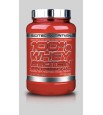 100% Whey Protein Professional