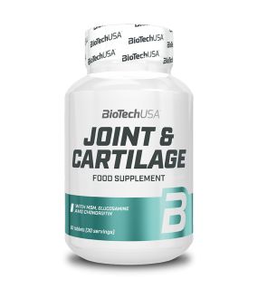 JOINT & CARTILAGE