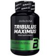 TRIBULUS MAXIMUS