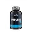 TRIBULUS