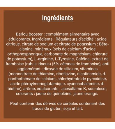 BARLOU BOOSTER