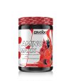 AMINO MAXX